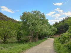 사랑하는 차(자동차) 이야기