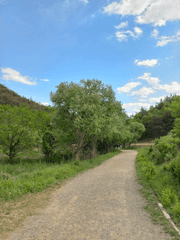 괭이 할배의 일상