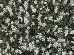 손 안에 갇혀있는 공기의 의미