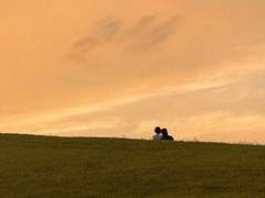 굴러가는 구슬들에게