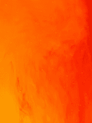 𝐸𝑍𝑅𝐴𝑆𝐼𝐿𝐴𝑆