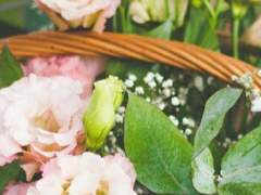 Good Night, Sweet Derams