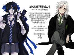 페어리 관통후기