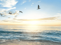 진도가 이렇게 빨라? 그럼 나도 맞춰야 되나…