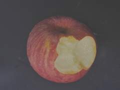 깨달음은 늦고_커튼콜