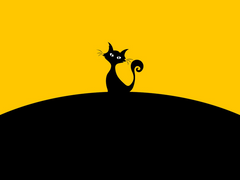 너구리가 찾은 길