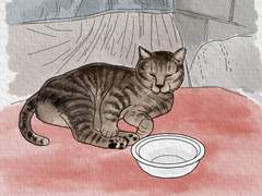 [길냥이 그리기 챌린지] 022 배부른 고등어 녀석