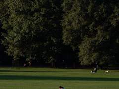 사랑은 허다한 죄를 덮느니라