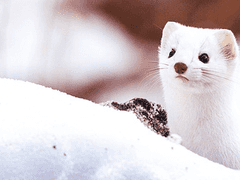 Love, and be lovable!