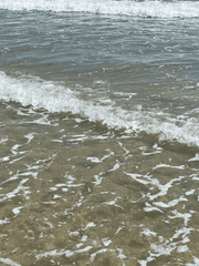 정신차려이각박한세상속에서