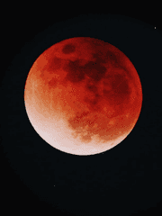 secret소극장(친목)