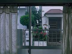 그리고 아주 오랜 시간이 흐른 어느 날¹