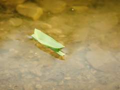 운명의 붉은 실 5