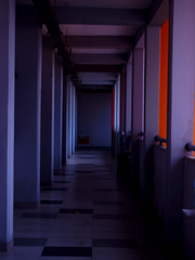 그 학교의 나폴리탄