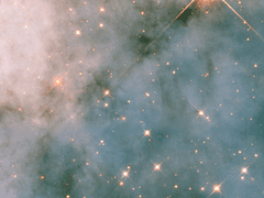 v가 사는 신기루