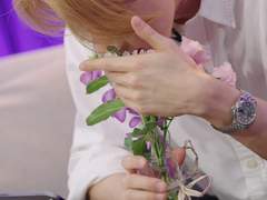 알레르기 알레고리아