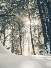 [GL]영원한 겨울, 이 갇혀버린 세계에서
