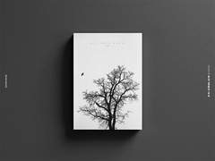 [작업 완료] out from woods