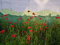 거기, 산이 있었다/이도은