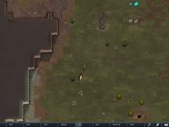 사라진 생명. 그리고 생겨난 생명