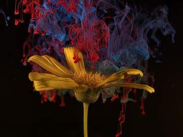 [지사풍사] 탕후루, 친우