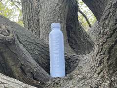 보리차 그리고 무생