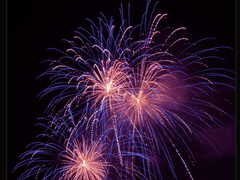 [무료 배포] 커뮤용 트위터 봇