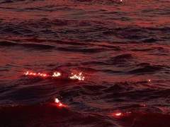 /헤스터 W. 딤스데일/xx/신전/남작/