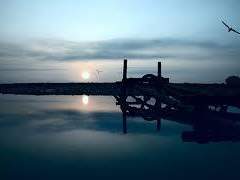 애상적 노스탤지어