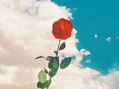 오늘도 환히 빛날 테니까,