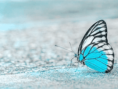 눈을 번뜩일 적에