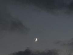 보고 싶단 말 무거워서/이상진