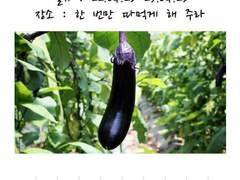 한 번만 따먹게 해 주라 5 (++++)