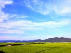 [원피스] 아사랑 기반 썰 ㅡ하이힐