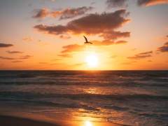 [멜피슈] 우리의 영원한 순간