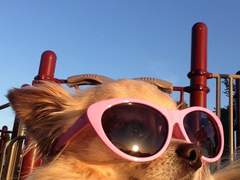 엔시티나페스추천_08