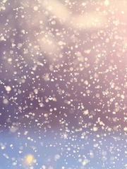 나탈리 폴라 윈터스