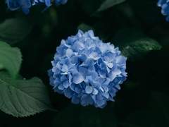 [화산귀환/검협] 그것이 그들의 소원이라면