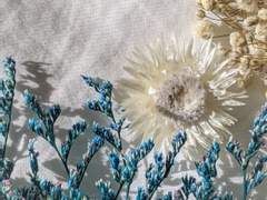 성글게 비운 여백