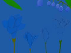 파란 파란한 꽃