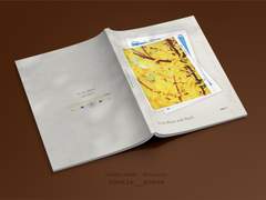 To the Moon and Back