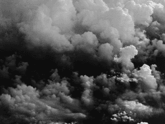 주술사를 주웠습니다.