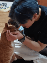 브라우니 보이의 사랑을 빌어줘