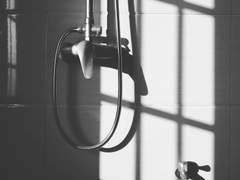 [마이타케] Tepid