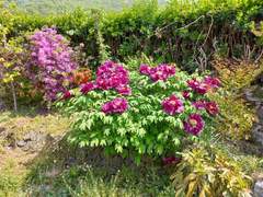 멍하니 밖을 바라보고 있습니다