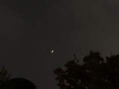 愛を知るには二人とも未熟なので。