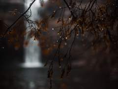 계속 남아있는 이 감정의 이름을 자신은 아직 모른다.