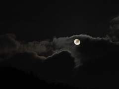 로빈후드 윈터, 제국의 공주 카리나 - 2