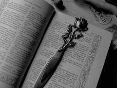 #무채색_조곤조곤 시리즈