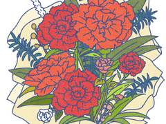 카네이션 꽃다발